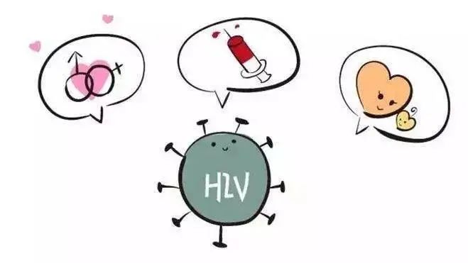 里番2006 维护良好的网络环境