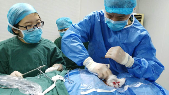 不用播放器的黄页