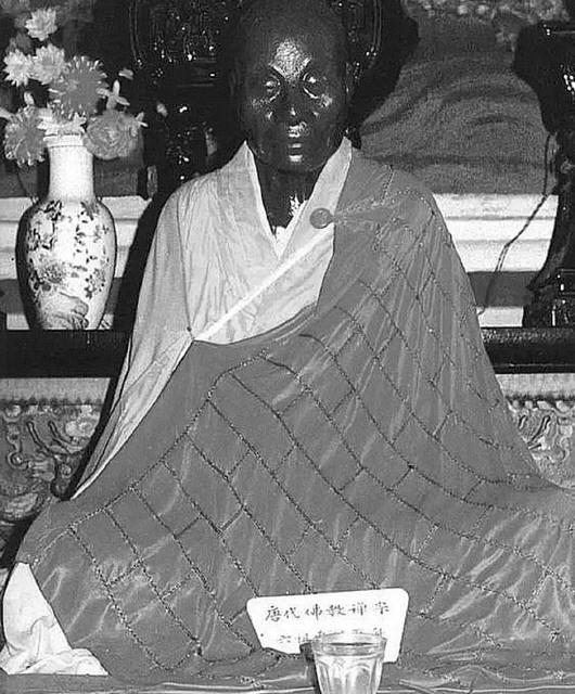 菊 饮菊花酒也是传统习俗