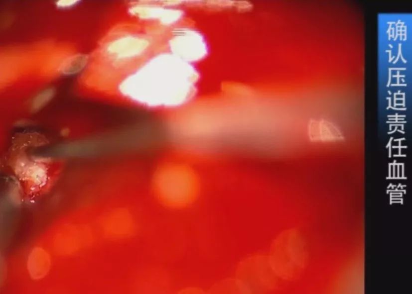 第五人格3d同人