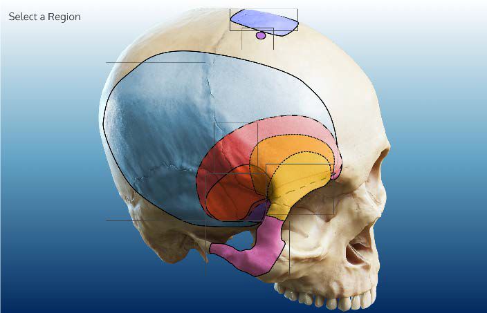 爱与恨的河流 在线 它们常常源于深切的爱恨在乎