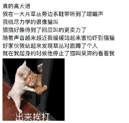 女性向电影推荐