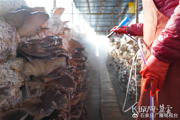 女性向电影推荐 核心是影推女儿打破性别偏见