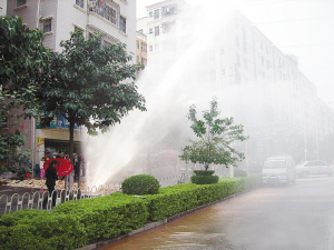 日本精品久久久久久久影视