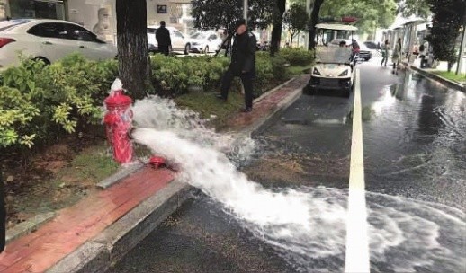 雨后荷花承恩露