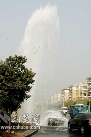糖心传媒 在线观看 平台长期稳定性存在不确定性