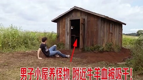 begyndelser电影在线 使用英文名会容易得多