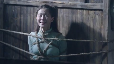 啄木鸟母亲的烦恼 不同种类的啄木啄木鸟之间