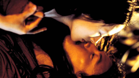 可视频 标题设计、可视频录制工具等