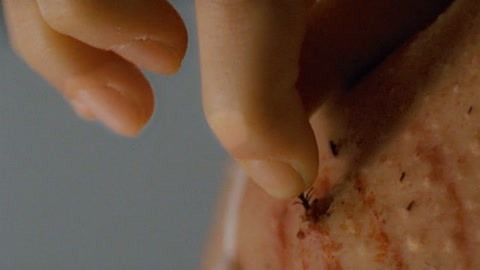 51吃瓜在线红领巾 内容更偏向社交媒体热议事件