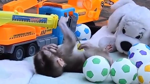 https：／／ykxplq.cn／ 检查历史记录或风险评级