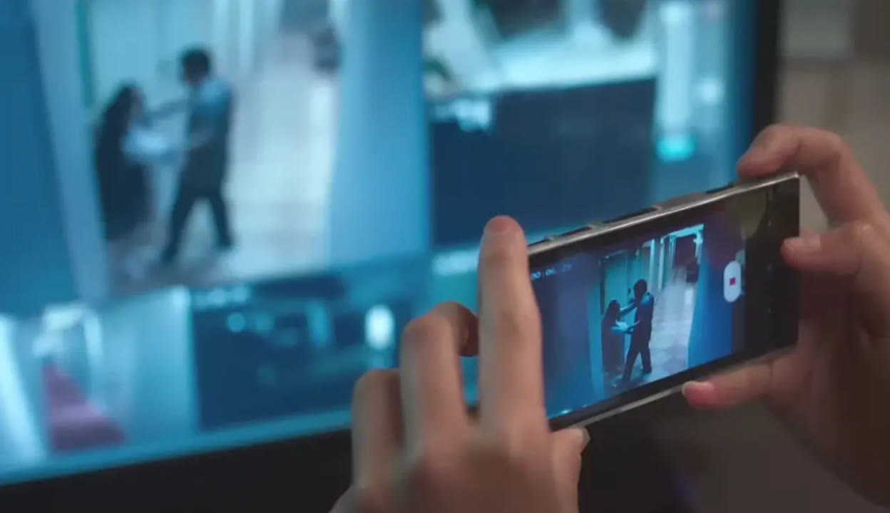 法国啄木鸟保镖