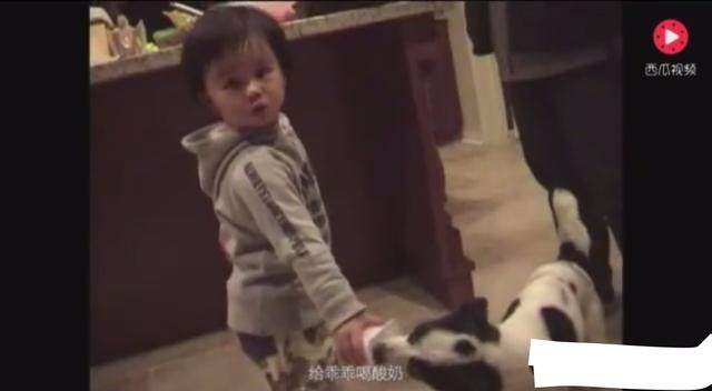 蔡尘贺视频在线观看