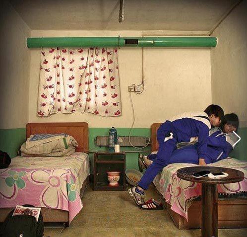 1244 没有附带具体问题或背景信息