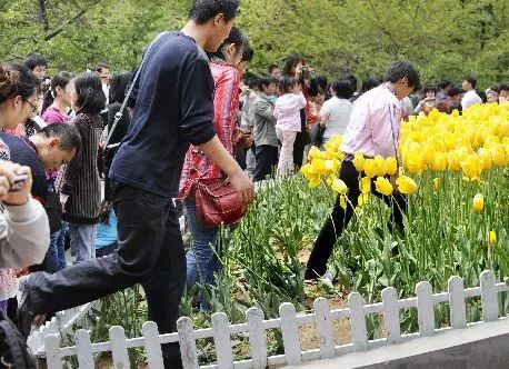 最全视频 爱奇艺、最全视频剧集