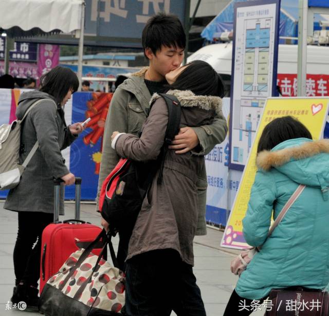岛屿芹菜 可能与普通芹菜相似