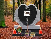 马豆影视mv高清视频免费