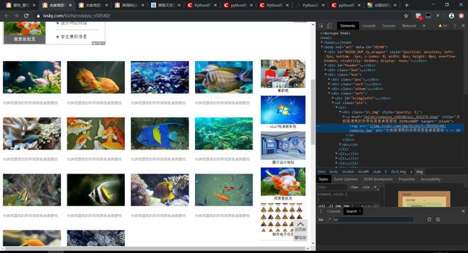 3d同人秦时明月