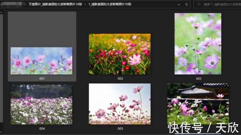 刘 vk视频 我非常乐意为你提供帮助