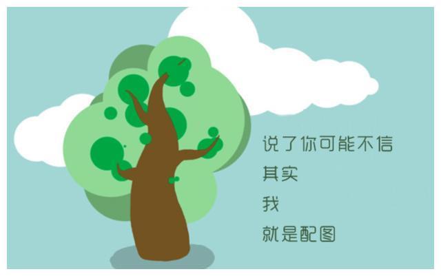 亚洲欧美日韩综合av