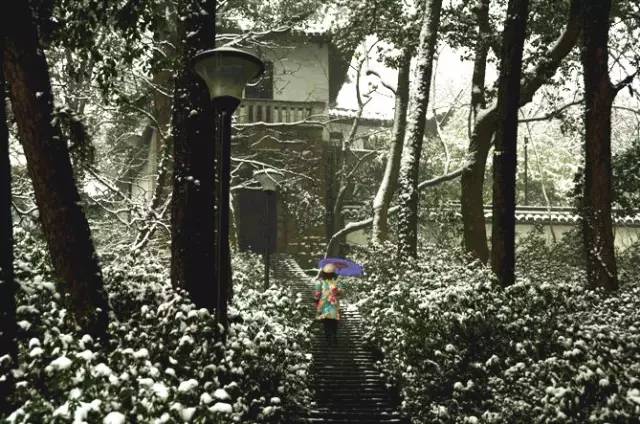 可以投屏的电影网站