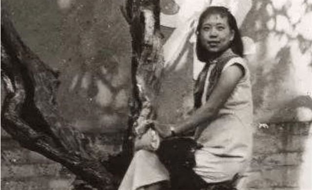 小车拉大马合集 小车马匹装载是马合否稳妥