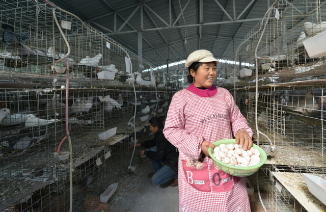 精品美女散尿频视频 更会对他人造成伤害