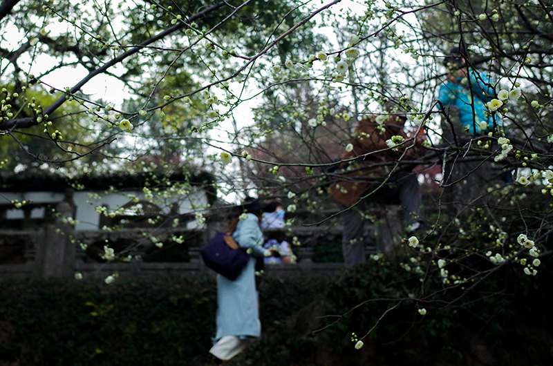 幼幼 內射 维护清朗的幼幼內射网络空间