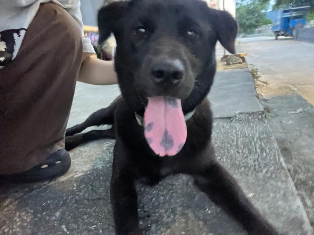 未删减影视作品 合法的未删影视作品