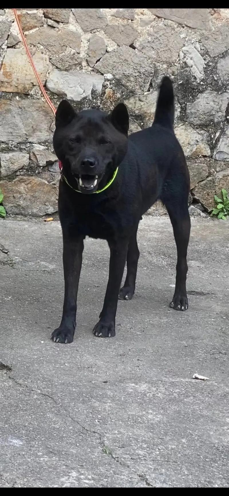 每日吃瓜福利 产品采用智能推荐算法