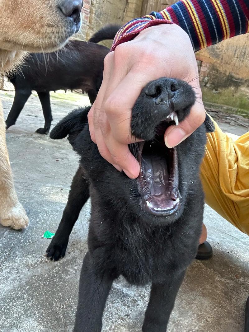 久久影院毛片一区二区