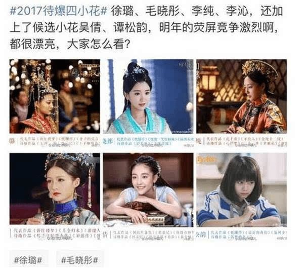 苏畅是谁 苏畅更偏向务实与逻辑