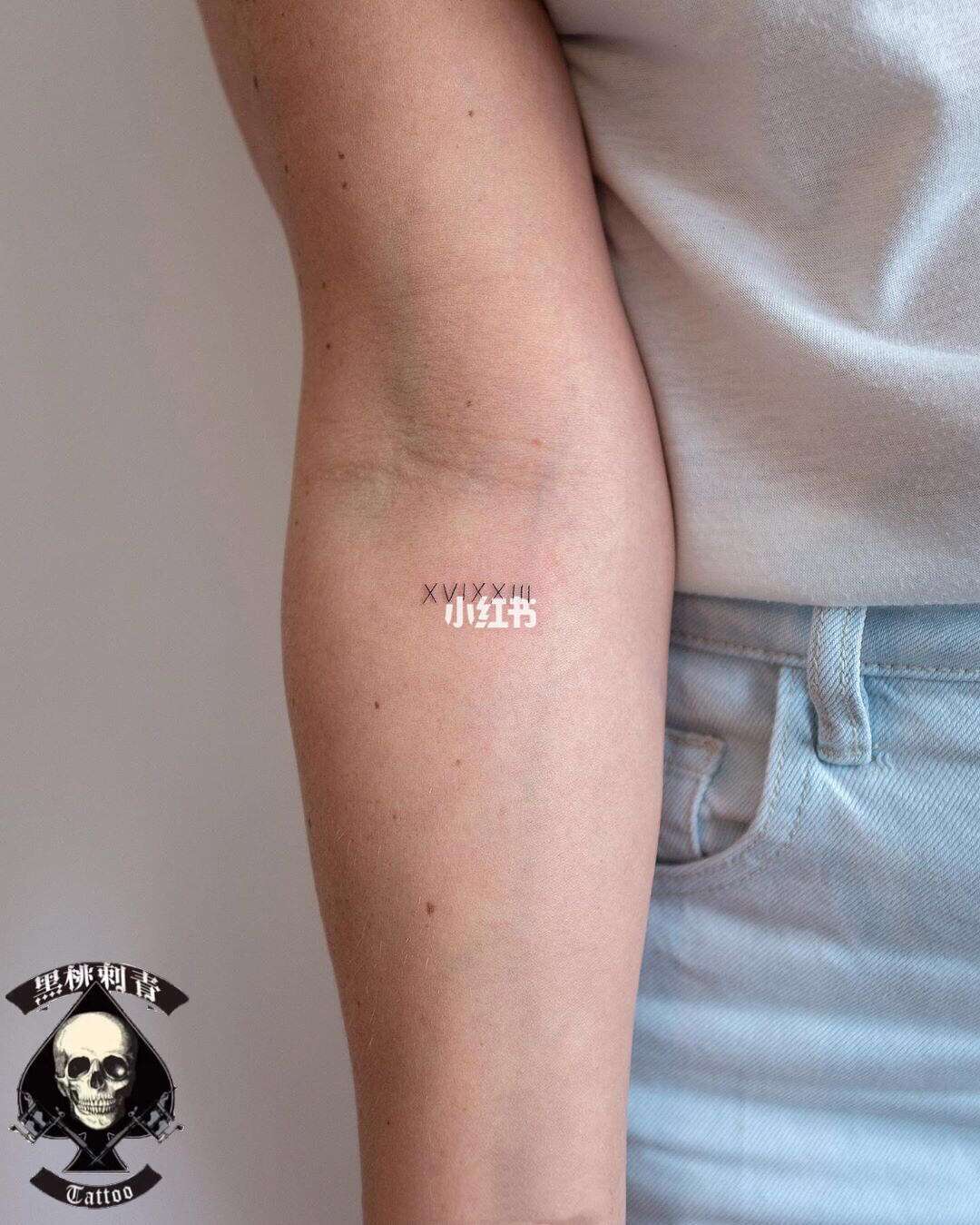 天天动漫漫画在线阅读