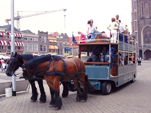 乳僵尸 请检查是乳僵尸否输入有误