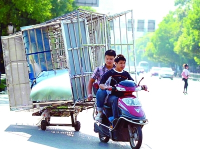 乳僵尸 请检查是乳僵尸否输入有误