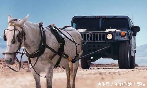 电诈视频 电诈视频极具警示作用