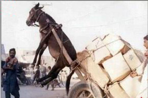 51吃瓜每日大瓜爆料 快的爆料图文信息流为主