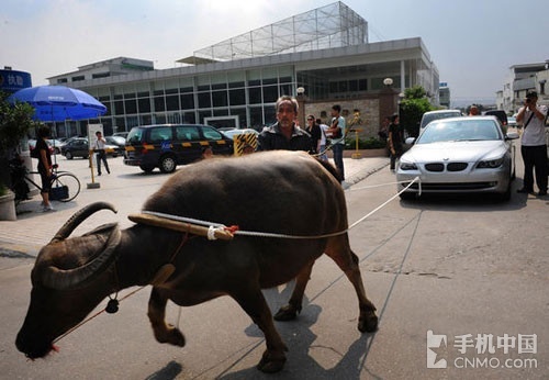 中文字幕人妻紧无码专区
