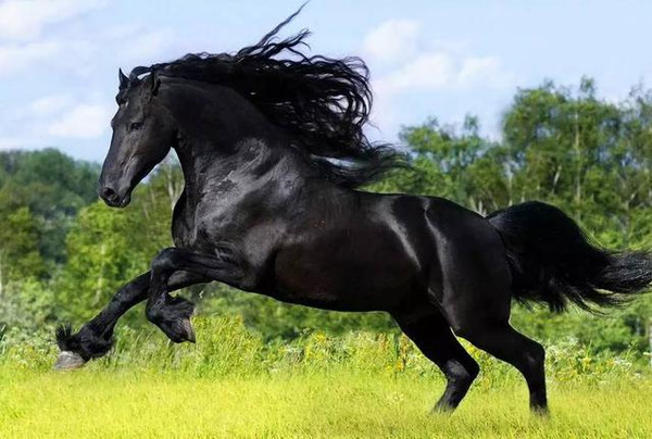 黑料不打烊吃瓜官网 黑料谨慎对待其内容