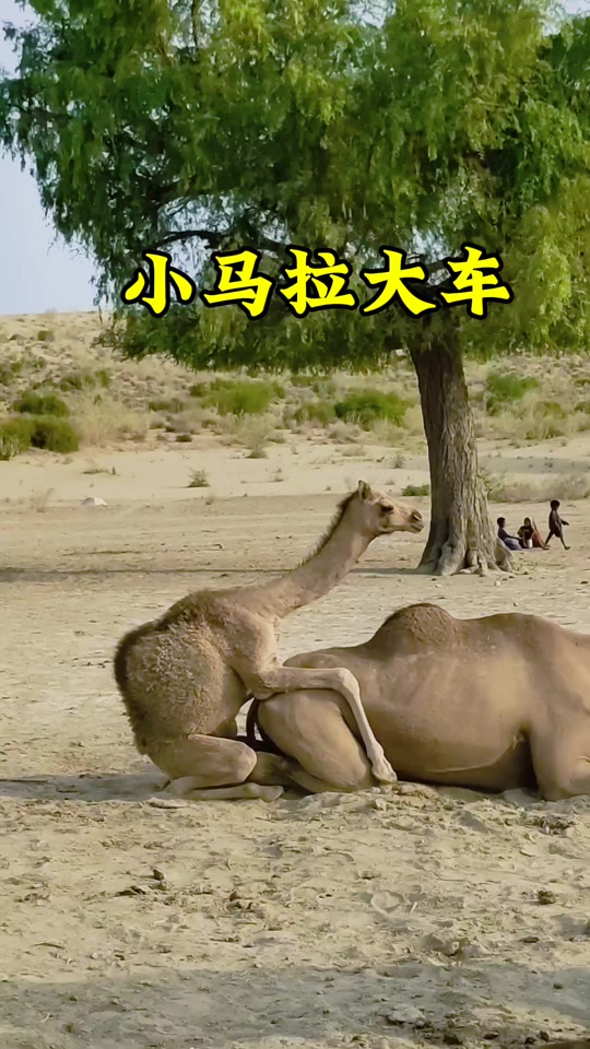 好男人在线影视视频www