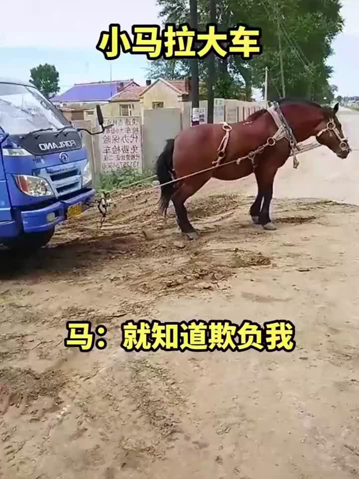 免费看电影的软件