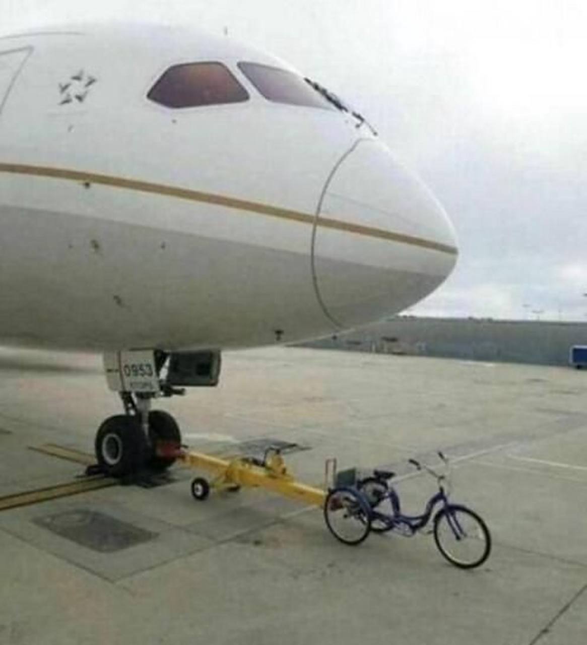 友嘉知识产权（辽宁）有限公司 招标 友嘉有限线上线下推广活动