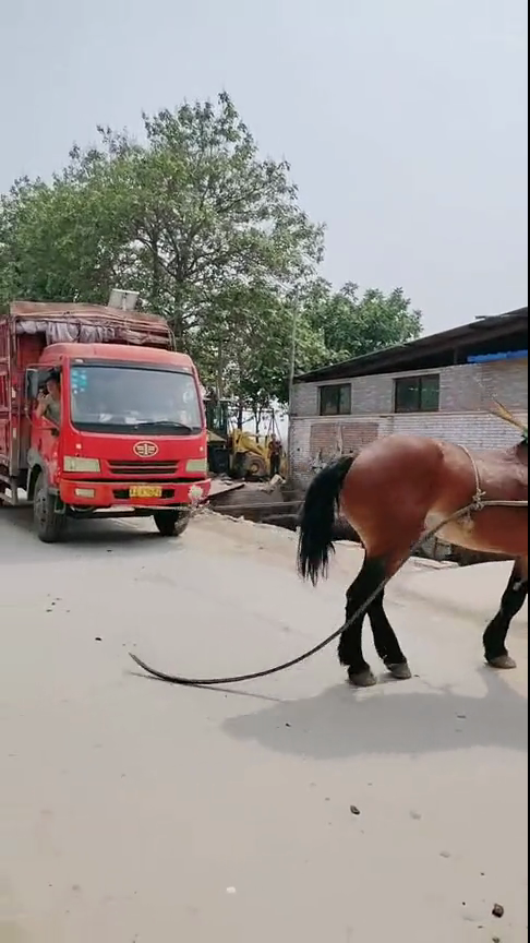 蜜桃在线观看 蜜桃网络安全风险或法律纠纷