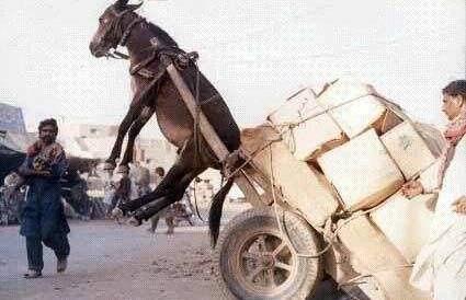 国产精品久久久十八禁