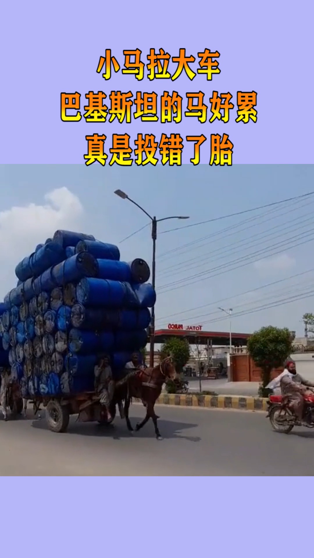 小视频在线观看 华为应用市场等)下载App