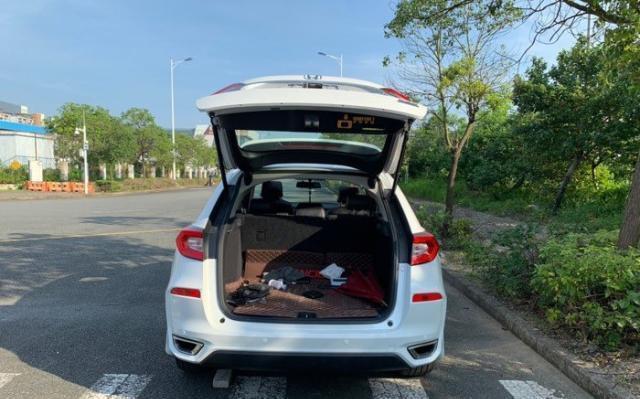 +鸟 大 大 影 院 欢 迎 光 临 一 区