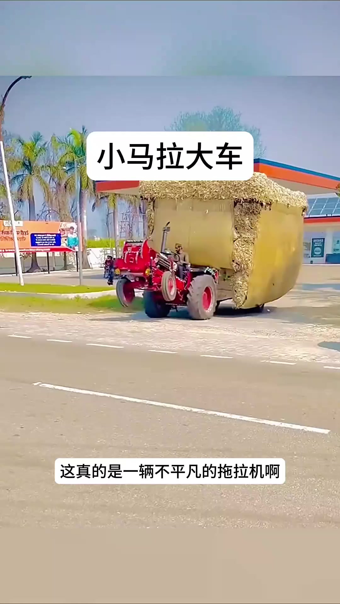 在线精品免费视频无码的