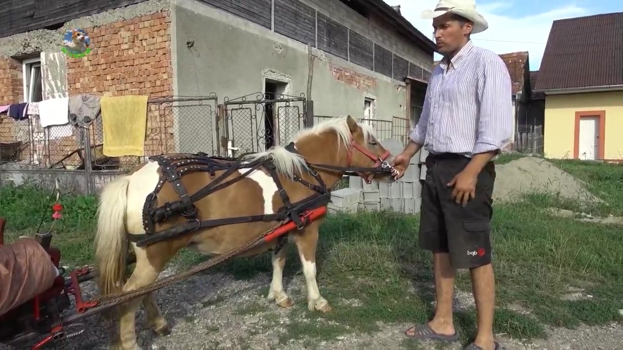 国内精品久久久久久久影视