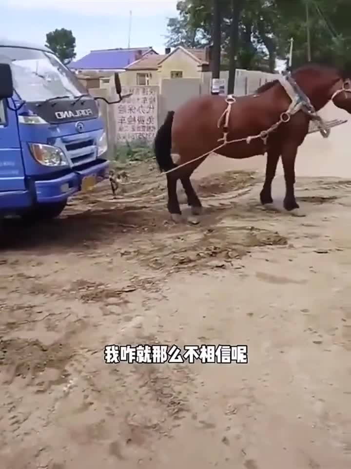 四川兆策慈瀚生物科技有限公司 招标