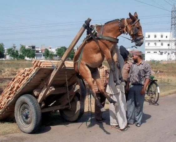 火影忍者同人漫画视频